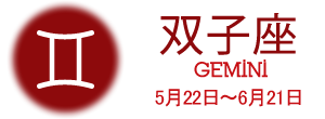 双子座 GEMINI 5月22日〜6月21日