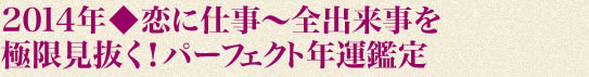 2014年◆恋に仕事〜全出来事を極限見抜く！　パーフェクト年運鑑定